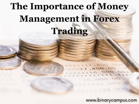 The Importance of Money Management in Forex Trading The Importance of Money Management in Forex Trading